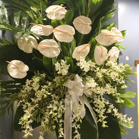 anthurium and orchid All white combo 1 layer of Anthuriums and Orchids – Sylvia's Flowers