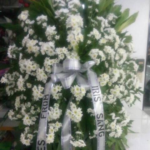 Malaysian mums or rados