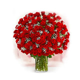 Vase of hundred red roses