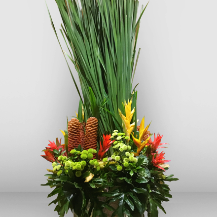 Exotic cut flowers with hot-dog leaves