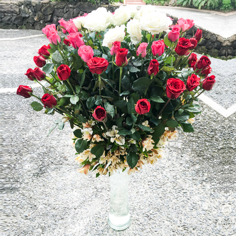 Vase of seventy-two roses (3 doz red, 2 doz pink, 1 doz white) with alstroemeria