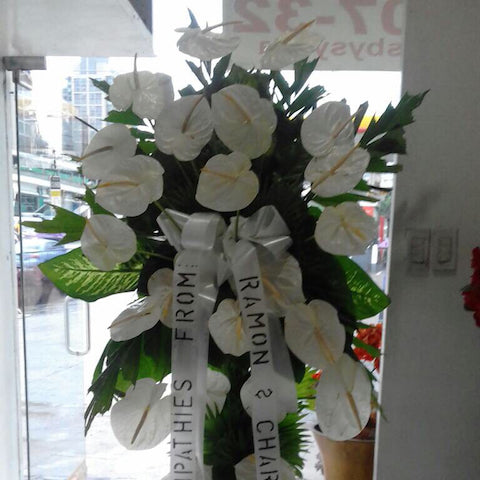 anthurium flower price in philippines White anthuriums with letter "C" shape – Sylvia's Flowers