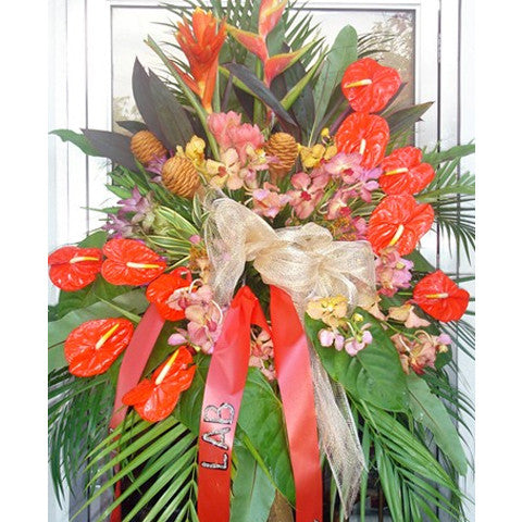 Anthuriums and exotic flowers