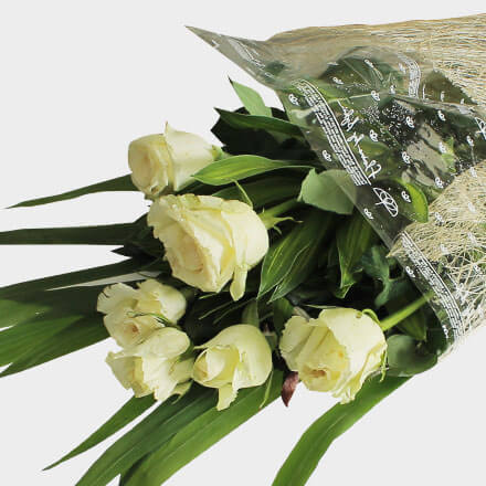 6 White Roses Design Bouquet of 6 white roses – Sylvia's Flowers