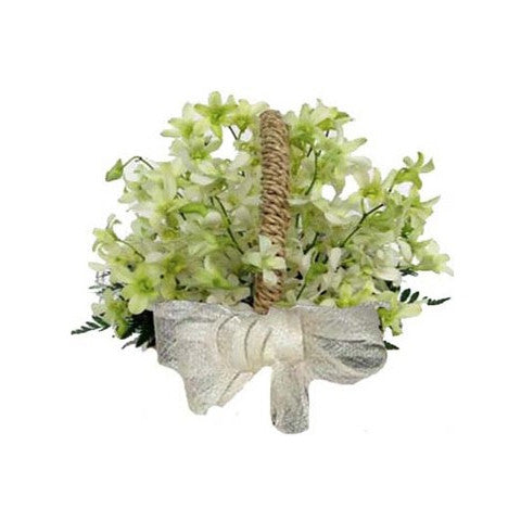 Basket of sympathy orchids