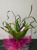 6 pcs. tulips in a vase