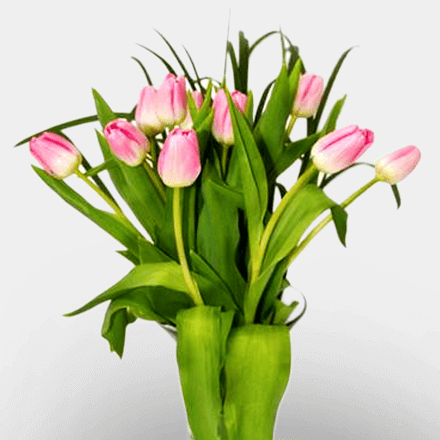 Vase of Tulips